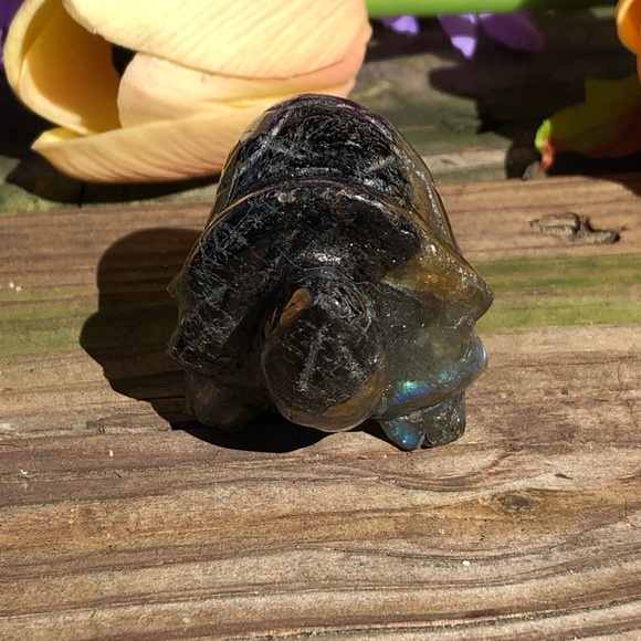 Labradorite Crystal Turtle - Picture 7 of 16